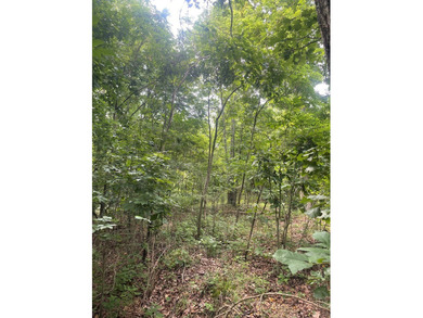 Joe Milam Rd - photo 11