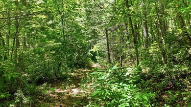 Discover the perfect setting for your mountain retreat in the - photo 12