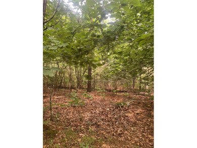 Joe Milam Rd - photo 12