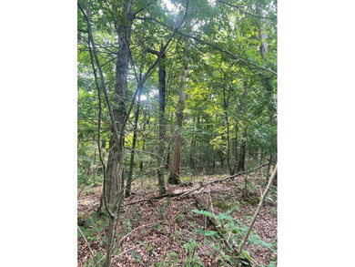 Joe Milam Rd - photo 13