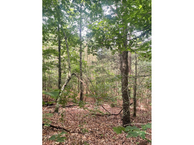 Joe Milam Rd - photo 14