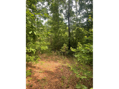 Joe Milam Rd - photo 15