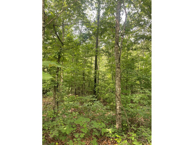 Joe Milam Rd - photo 16
