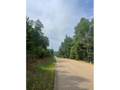 Joe Milam Rd - photo 17