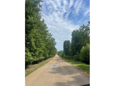 Joe Milam Rd - photo 19