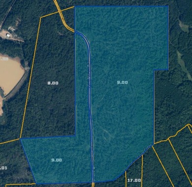 Joe Milam Rd - photo 20