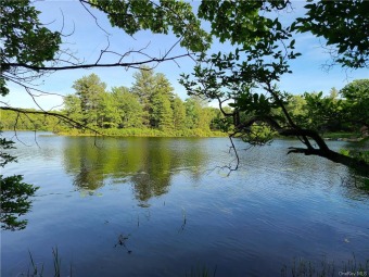 Lake Joseph Acreage For Sale in Forestburgh New York