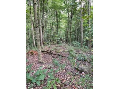Lake Acreage For Sale in New Tazewell, Tennessee
