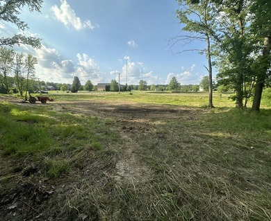 Lake Dalecarlia Acreage For Sale in Lowell Indiana