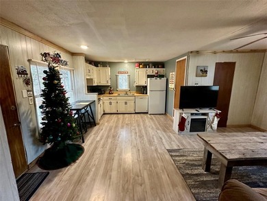 Lake Home For Sale in Pottsboro, Texas