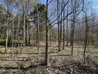 Don't Miss This Opportunity in Yazoo County, MS! Looking for the - photo 11