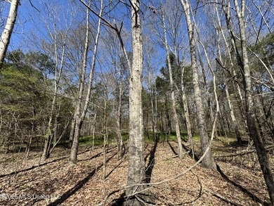 Don't Miss This Opportunity in Yazoo County, MS! Looking for the - photo 12