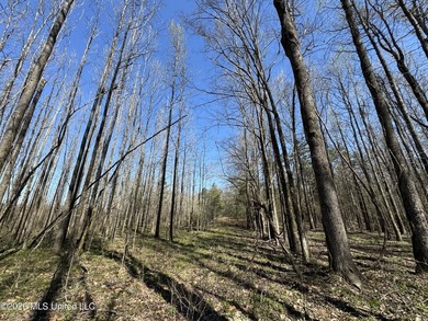 Don't Miss This Opportunity in Yazoo County, MS! Looking for the - photo 14