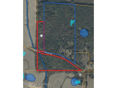 Don't Miss This Opportunity in Yazoo County, MS! Looking for the - photo 16