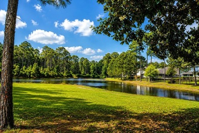 Coastal Convenience & Spacious Living in Driftwood Estates with - photo 18