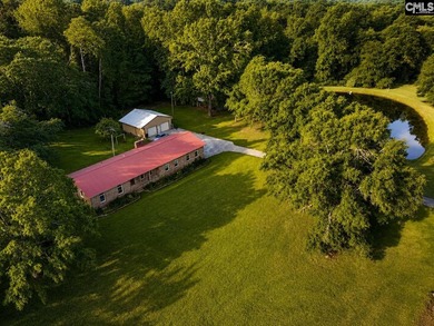 (private lake, pond, coastal) Home For Sale in Leesville South Carolina