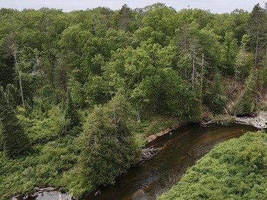 Lake Acreage Sale Pending in Indian River, Michigan