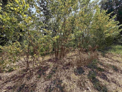 Lake Acreage For Sale in Horseshoe Bend, Arkansas