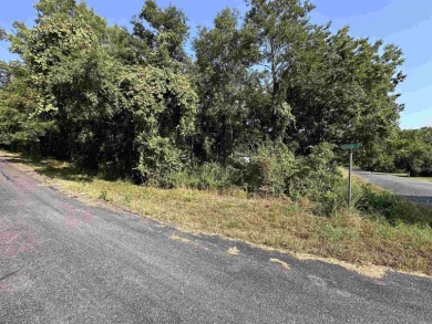 Lake Lot For Sale in Horseshoe Bend, Arkansas