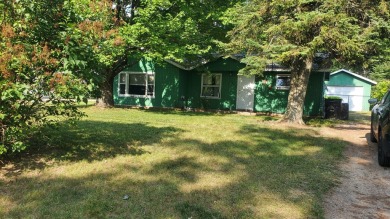 Lake Home For Sale in Saint Helen, Michigan