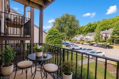 Turnkey fully renovated multi-level condo that checks every box! - photo 4