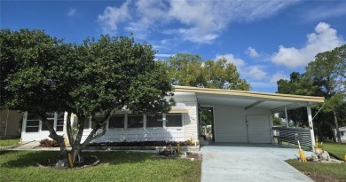 Lake Home Sale Pending in Zellwood, Florida