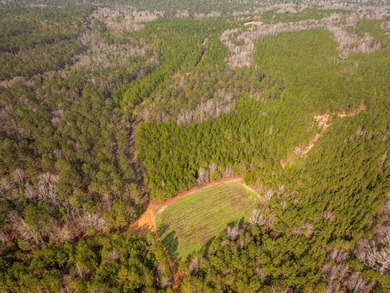 This rare waterfront tract offers an exceptional combination of - photo 13