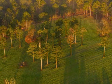 This rare waterfront tract offers an exceptional combination of - photo 14