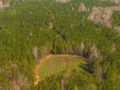 This rare waterfront tract offers an exceptional combination of - photo 15