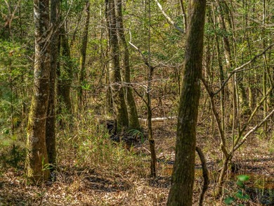 This rare waterfront tract offers an exceptional combination of - photo 16