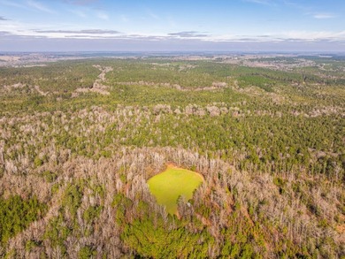 This rare waterfront tract offers an exceptional combination of - photo 17