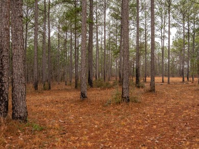 This rare waterfront tract offers an exceptional combination of - photo 20