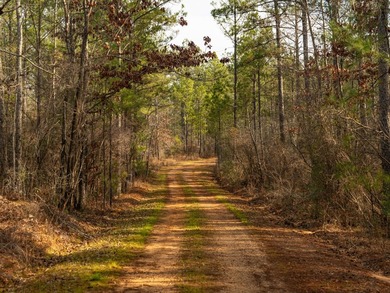 This rare waterfront tract offers an exceptional combination of - photo 21