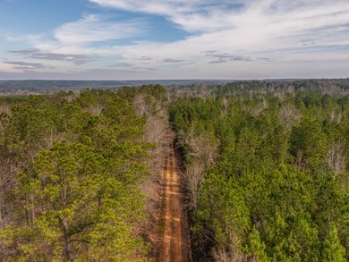 This rare waterfront tract offers an exceptional combination of - photo 22