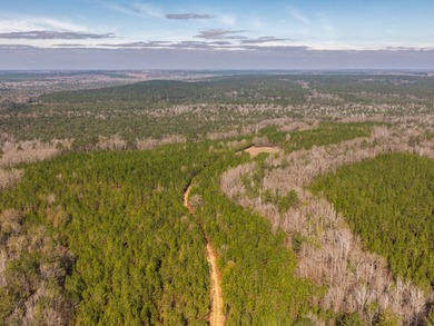 This rare waterfront tract offers an exceptional combination of - photo 23