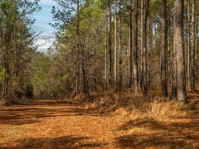 This rare waterfront tract offers an exceptional combination of - photo 27