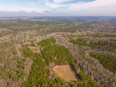 This rare waterfront tract offers an exceptional combination of - photo 28