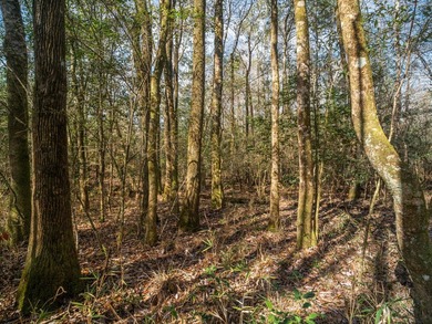 This rare waterfront tract offers an exceptional combination of - photo 29