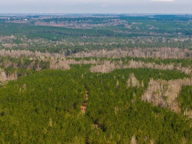 This rare waterfront tract offers an exceptional combination of - photo 30