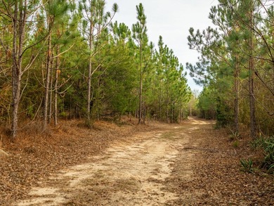 This rare waterfront tract offers an exceptional combination of - photo 31