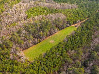 This rare waterfront tract offers an exceptional combination of - photo 33