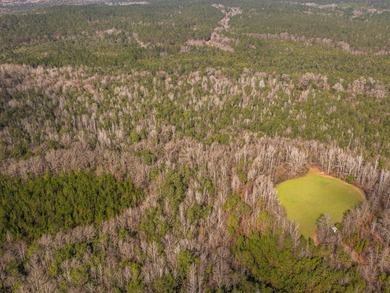 This rare waterfront tract offers an exceptional combination of - photo 35