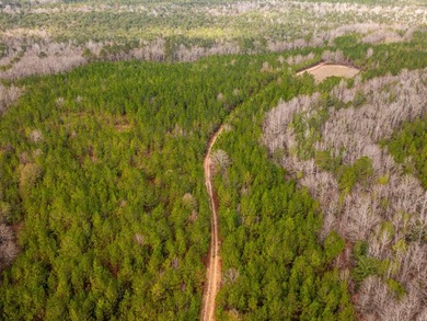 This rare waterfront tract offers an exceptional combination of - photo 36