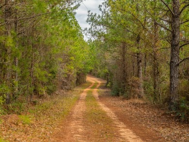 This rare waterfront tract offers an exceptional combination of - photo 37