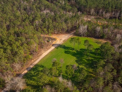 This rare waterfront tract offers an exceptional combination of - photo 38