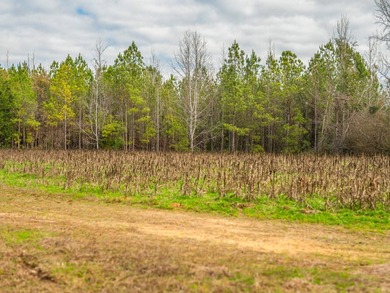 This rare waterfront tract offers an exceptional combination of - photo 39