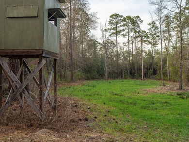 This rare waterfront tract offers an exceptional combination of - photo 43