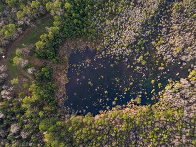 This rare waterfront tract offers an exceptional combination of - photo 46