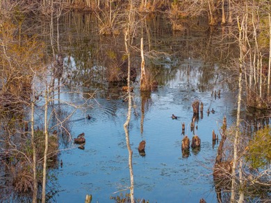 This rare waterfront tract offers an exceptional combination of - photo 47