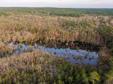 This rare waterfront tract offers an exceptional combination of - photo 48